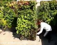 دیوارهای سبز قابل جا به جا شدن