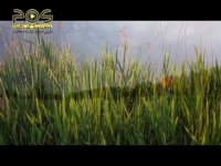 کلیپ بهشت : بهشت مانندی ندارد