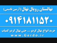 خرید نهال گردو پدرو پیوندی 09141811520