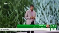 گفتگو با اکبر میثاقیان در مورد بقای سیاه جامگان در لیگ برتر