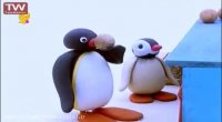 کارتون پینگو - قسمت 5
