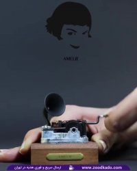 موزیک باکس آملی در سایت zoodkado.com - خرید موزیک باکس آملی