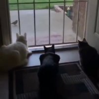 حواستون به پشت سرتون باشه