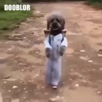 من نمی خوام برم مدرسه