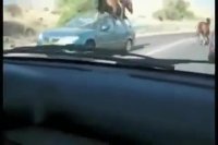 وقتی نمیخوای مسیرتو عوض کنی