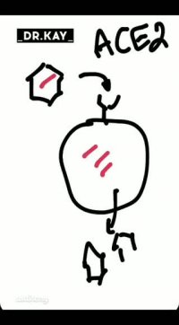 روش کار داروی موثر روی بیماری کرونا