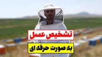 تشخیص عسل به صورت حرفه ای