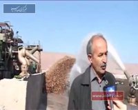 پیرانشهر؛ صف‌های طولانی تحویل محصول چغندرقند