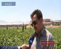 طرح امنیت غذایی؛ از مزرعه تا سفره