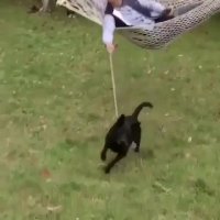 تکنولوژی فقط این مدلیش