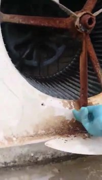 سرویس کولر آبی