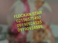 آبکاری پاششی//استیل پاش*فرمول آبکاری02156571497