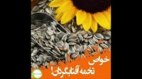 خواص تخمه سیاه ( آفتاب گردان)