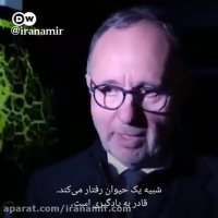 کشف تازه دانشمندان: موجود عجیبی که هنوز معلوم نیست چیست