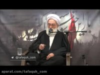 امیرالمومنین در کربلا