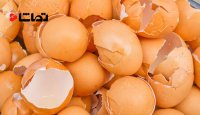 پوسته تخم مرغ در برابر حرارت می تواند 10،000 درجه سانتی گراد مقاومت کند