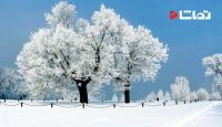 قاب هایی زیبا از زمستان
