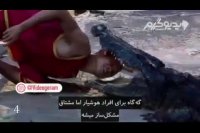 ده‌تا اتفاق عجیب و وحشتناک در باغ وحش