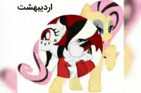 طالع بینی به سبک پونی های نا شناخته ساخت خوم