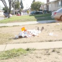 خلاقیت زچ کینگ - دزدی در هالووین