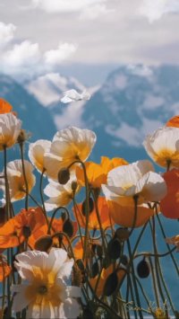 کلیپ زیبا و آرامش بخش صبحگاهی