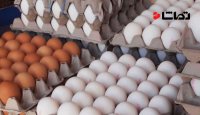 تخم مرغ را از شنبه با قیمت مصوب بخرید
