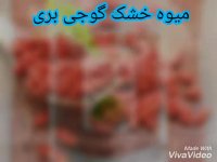 گوجی بریفروش نهال گوجی بری09144811631