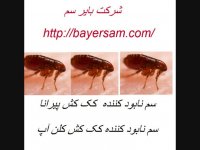 سم کک کش  قوی  با قیمتی مناسب