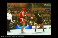 پندار محبی . فینال مسابقات قهرمانی آسیا -  آمریکا(pacific) و کسب مدال طلای وی