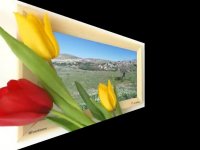 روستای سرسبز زان