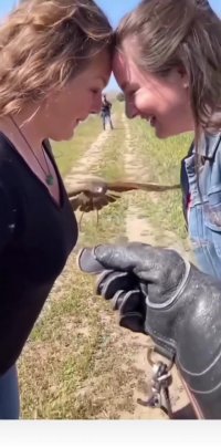 کلیپ خفن دقت عقاب