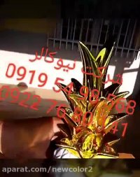 دستگاه ابکاری طلایی 02156571279نیوکالر