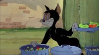کارتون تام و جری Tom and Jerry