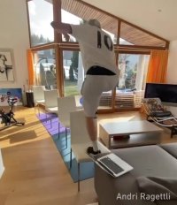 پارکور کار قرنطینه