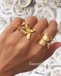 گلبرگهای شیک پاسکول را بر روی دستان خود احساس کنید.