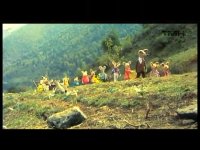 کارتون شهر موشها 1 با کیفیت خوب