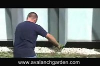 مراحل نصب و اجرای روف گاردن