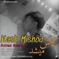 آهنگ جدید کیوان حسنی به نام کاش میشد