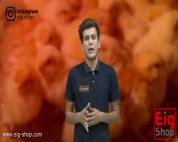 کاربرد لامپ مادر مصنوعی در فرایند جوجه کشی