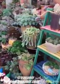 زیبایی های هیمالایا