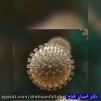 کرونا ویروس