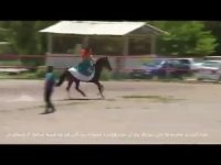 تحویل اسب به مه لقا خانی