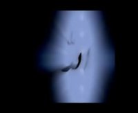 ربنا با صدای استاد محمدرضا شجریان-ماه رمضان مبارک-موسسه اجاره دوربین و تجهیزات عکاسی و فیلمسازی پارس لتز