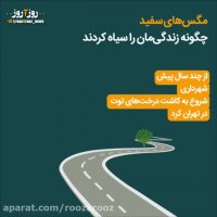 مگس های سفید چگونه زندگیمان را سیاه کردند؟