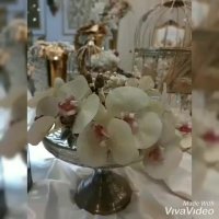 دفتر عقد ایما محدوده شرق تهران