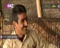 روستانشین میلیاردر در جواب ترامپ دلار را تحریم کرد