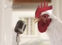 سال خروس مبارک!!!