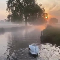 فیلم فوق العاده زیبا وضعیت واتساپ