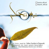 آهنگ جدید صابر سکوت و پاپوش به نام نبض زندگی