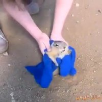 من چاق شدم الان گیر کردم نجاتم بدید :-)^^